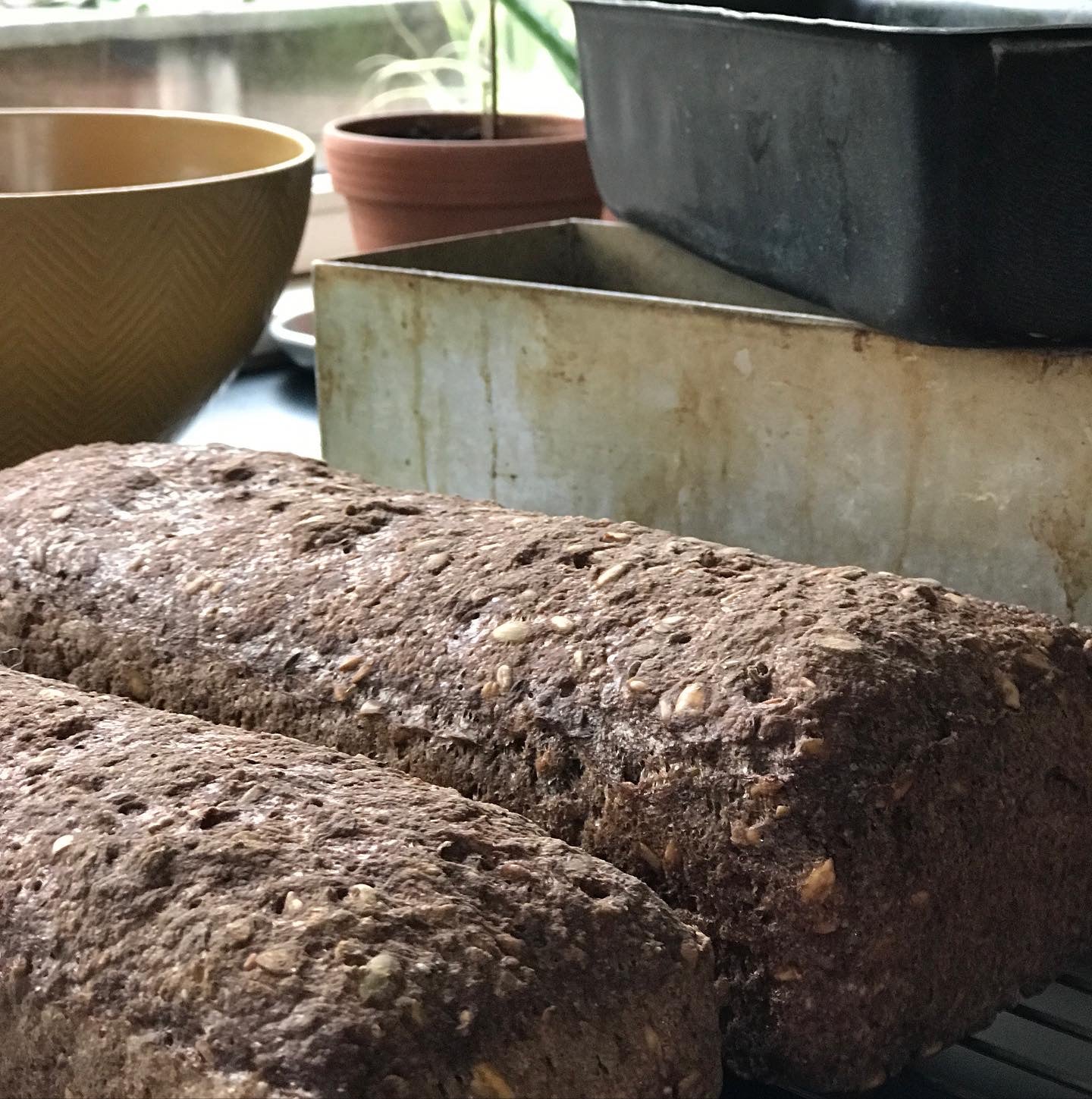Mørkt brød nr. 1