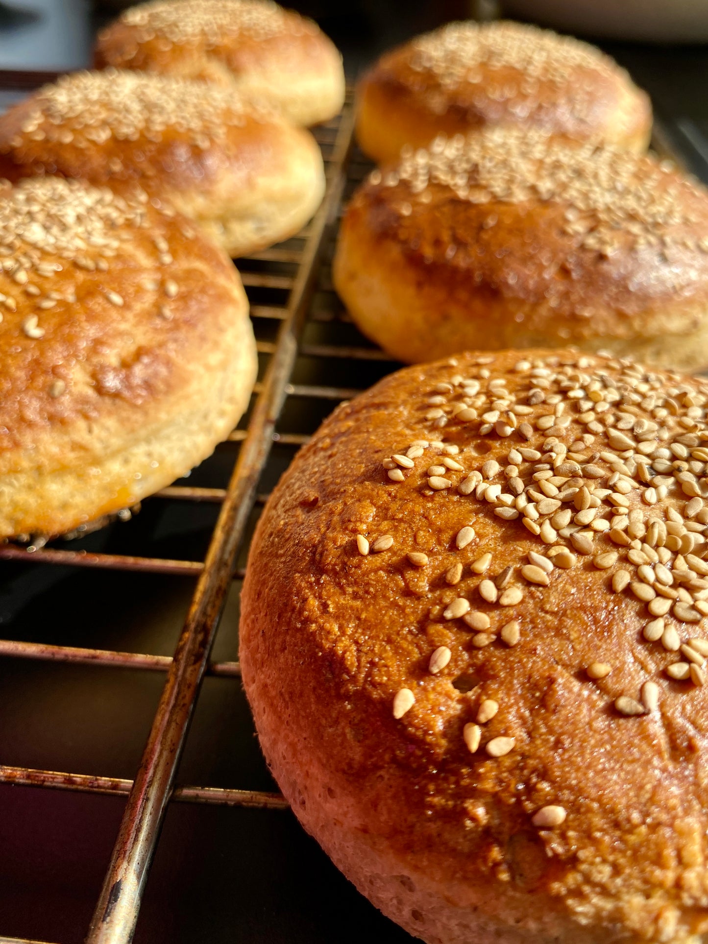 Burgerbrød brioche
