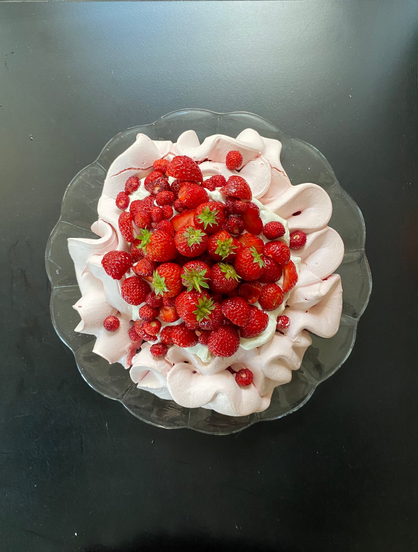 Pavlova